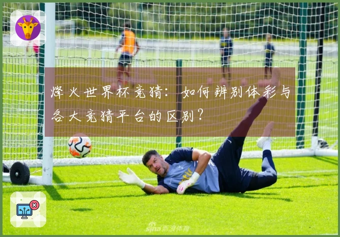 烽火世界杯竞猜：如何辨别体彩与各大竞猜平台的区别？